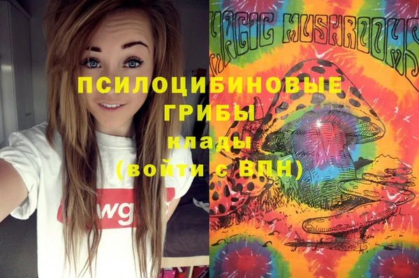 синтетический гашиш Белокуриха
