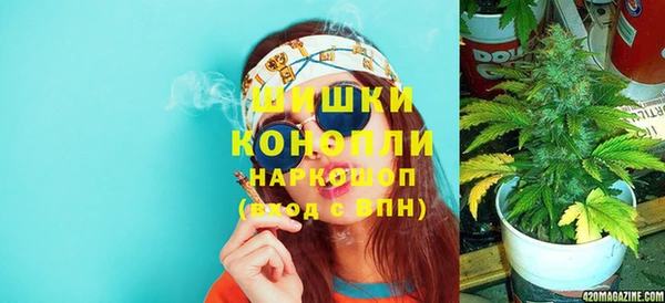 прущая мука Богданович