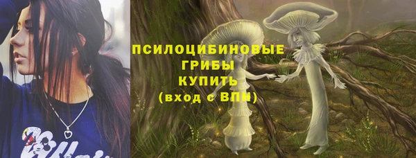 ALPHA PVP Богородицк